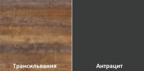 Кухонный гарнитур угловой Трансильвания 2600х1600 мм (Стол. 38 мм) в Игриме - igrim.mebel24.online | фото 3