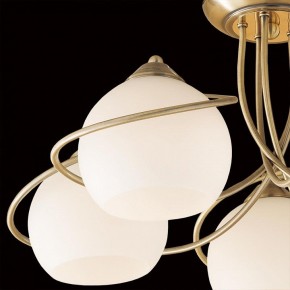 Люстра на штанге Citilux Лайма CL155153 в Игриме - igrim.mebel24.online | фото 4
