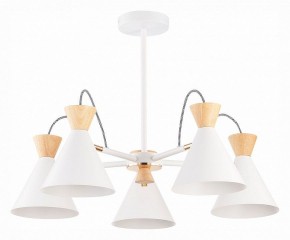 Люстра на штанге EVOLUCE Modica SLE125102-05 в Игриме - igrim.mebel24.online | фото 1