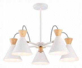 Люстра на штанге EVOLUCE Modica SLE125102-05 в Игриме - igrim.mebel24.online | фото 2