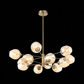 Люстра на штанге ST-Luce Fovia SL1500.203.12 в Игриме - igrim.mebel24.online | фото 4