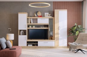 МАКСИ К1 Стенка для гостиной дуб сонома/белое дерево в Игриме - igrim.mebel24.online | фото 5