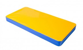 Мат гимнастический 1х0,5х0,08м цв. синий-желтый в Игриме - igrim.mebel24.online | фото