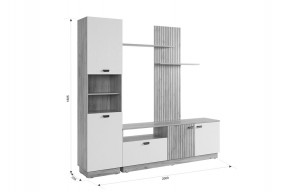 МОДИ К1 Гостиная (белое дерево) в Игриме - igrim.mebel24.online | фото 2