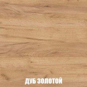 МСП-1 Шкаф 2-х створчатый (Дуб Золотой/Камень темный) в Игриме - igrim.mebel24.online | фото 4