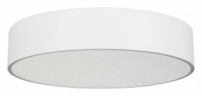Накладной светильник Arlight TOR PILL 022108(3) в Игриме - igrim.mebel24.online | фото