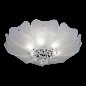 Накладной светильник Lightstar Lobo 804020 в Игриме - igrim.mebel24.online | фото 2