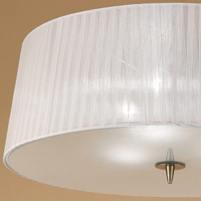 Накладной светильник Mantra Loewe 4740 в Игриме - igrim.mebel24.online | фото 3