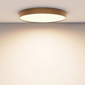 Накладной светильник Maytoni Zon C032CL-90W3K-RD-MG в Игриме - igrim.mebel24.online | фото 4