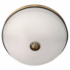 Накладной светильник MW-Light Ангел 12 295013402 в Игриме - igrim.mebel24.online | фото 2