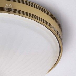 Накладной светильник MW-Light Ангел 12 295013402 в Игриме - igrim.mebel24.online | фото 7