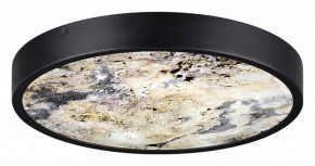 Накладной светильник Odeon Light Bergi 5064/24L в Игриме - igrim.mebel24.online | фото 4