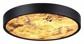 Накладной светильник Odeon Light Bergi 5064/24L в Игриме - igrim.mebel24.online | фото 5