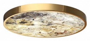 Накладной светильник Odeon Light Bergi 5079/50L в Игриме - igrim.mebel24.online | фото 5