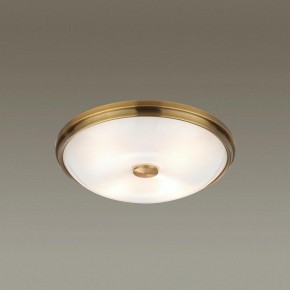 Накладной светильник Odeon Light Pelow 4956/4 в Игриме - igrim.mebel24.online | фото 2