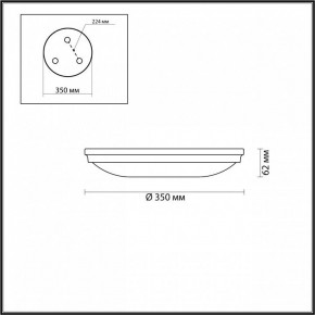Накладной светильник Odeon Light Pelow 4956/4 в Игриме - igrim.mebel24.online | фото 3