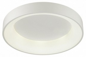 Накладной светильник Odeon Light Sole 4062/50CL в Игриме - igrim.mebel24.online | фото 3