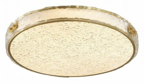 Накладной светильник Sonex Felice 7722/120L в Игриме - igrim.mebel24.online | фото 3