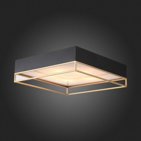 Накладной светильник ST-Luce Chodo SL1127.422.05 в Игриме - igrim.mebel24.online | фото 5