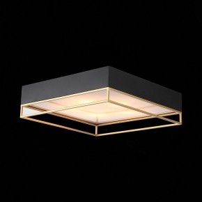 Накладной светильник ST-Luce Chodo SL1127.422.05 в Игриме - igrim.mebel24.online | фото 8