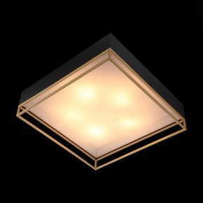 Накладной светильник ST-Luce Chodo SL1127.422.05 в Игриме - igrim.mebel24.online | фото 9