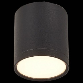 Накладной светильник ST-Luce Rene ST113.432.05 в Игриме - igrim.mebel24.online | фото 3