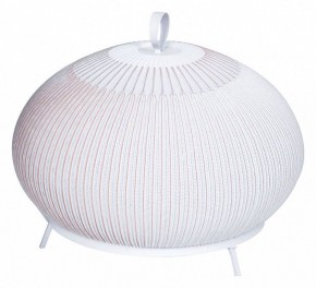 Настольная лампа декоративная Divinare Firefly 1808/33 TL-50 в Игриме - igrim.mebel24.online | фото
