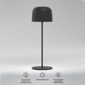 Настольная лампа декоративная Elektrostandard Bitty a069002 в Игриме - igrim.mebel24.online | фото 2