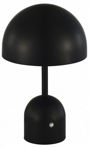 Настольная лампа декоративная EVOLUCE Eclat SLE1806-404-01 в Игриме - igrim.mebel24.online | фото