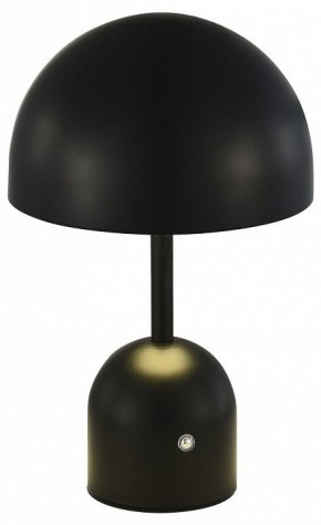 Настольная лампа декоративная EVOLUCE Eclat SLE1806-404-01 в Игриме - igrim.mebel24.online | фото 2