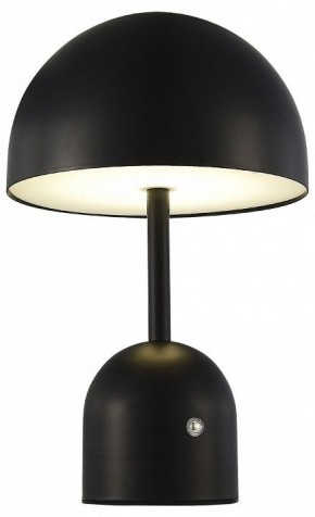 Настольная лампа декоративная EVOLUCE Eclat SLE1806-404-01 в Игриме - igrim.mebel24.online | фото 3
