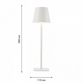 Настольная лампа декоративная F-promo Pyari 4614-1T в Игриме - igrim.mebel24.online | фото 3