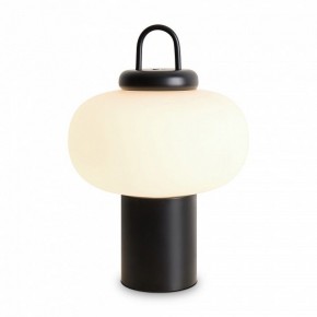 Настольная лампа декоративная Freya Take FR6175TL-L10B в Игриме - igrim.mebel24.online | фото
