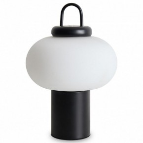 Настольная лампа декоративная Freya Take FR6175TL-L10B в Игриме - igrim.mebel24.online | фото 2