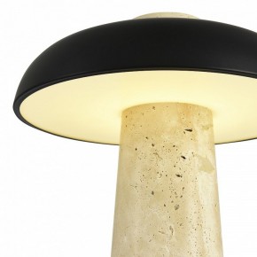Настольная лампа декоративная ST-Luce Earthy SL1194.424.01 в Игриме - igrim.mebel24.online | фото 6