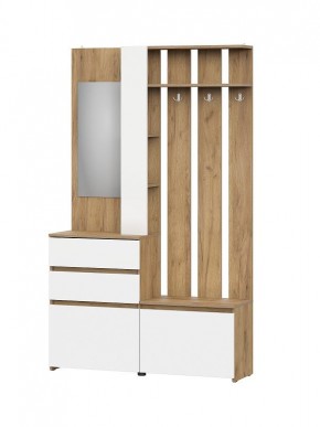 НЕКСТ 1 Вешалка с зеркалом + Шкаф 2-х ств. с ящиками в Игриме - igrim.mebel24.online | фото 4