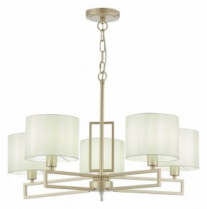 Подвесная люстра EVOLUCE Danae SLE105803-05 в Игриме - igrim.mebel24.online | фото 2
