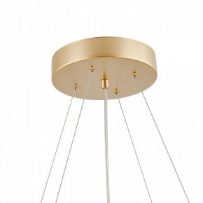 Подвесная люстра Favourite Asterismo 4448-8P в Игриме - igrim.mebel24.online | фото 8