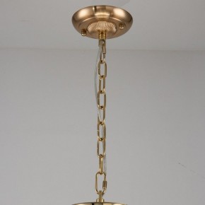 Подвесная люстра Favourite Rocca 2689-9P в Игриме - igrim.mebel24.online | фото 2