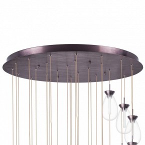 Подвесная люстра Lightstar Colore 805289 в Игриме - igrim.mebel24.online | фото 6