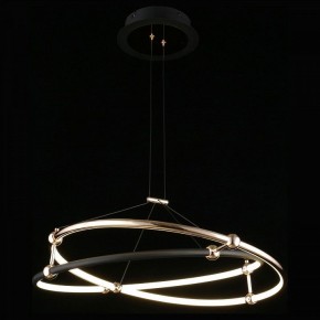 Подвесной светильник Aployt Diana APL.034.03.40 в Игриме - igrim.mebel24.online | фото 3