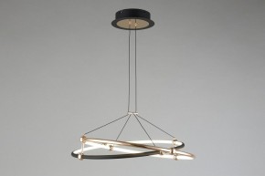 Подвесной светильник Aployt Diana APL.034.03.40 в Игриме - igrim.mebel24.online | фото 7