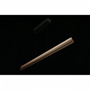 Подвесной светильник Aployt Gercia APL.786.03.38 в Игриме - igrim.mebel24.online | фото 11