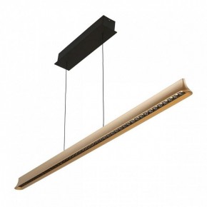 Подвесной светильник Aployt Gercia APL.786.03.38 в Игриме - igrim.mebel24.online | фото 2