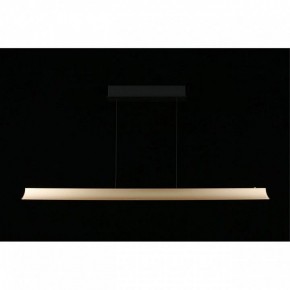 Подвесной светильник Aployt Gercia APL.786.03.38 в Игриме - igrim.mebel24.online | фото 7