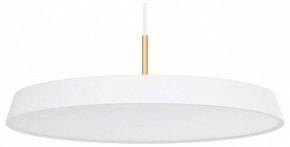 Подвесной светильник Arlight ELEGANT 033924(1) в Игриме - igrim.mebel24.online | фото