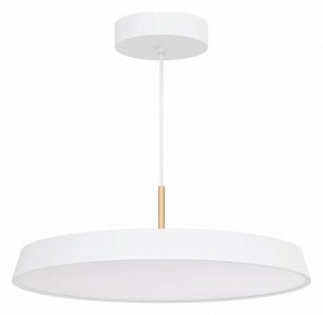 Подвесной светильник Arlight ELEGANT 033924(1) в Игриме - igrim.mebel24.online | фото 2