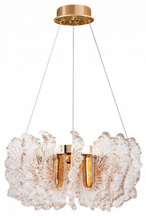 Подвесной светильник Divinare Anna 1138/01 SP-36 в Игриме - igrim.mebel24.online | фото 2
