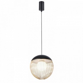Подвесной светильник Favourite Сore 4240-1P в Игриме - igrim.mebel24.online | фото