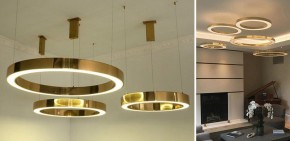 Подвесной светильник Imperiumloft Light Ring Horizontal 40,1454 в Игриме - igrim.mebel24.online | фото 2